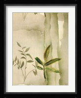 Vizcaya Ferns II Fine Art Print