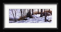 First Snow Fine Art Print