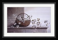 Spring Blossoms Fine Art Print