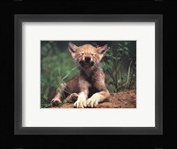 Simple Pleasures Fine Art Print