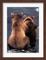 Two Bear Cubs Fine Art Print