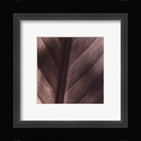 Details Fine Art Print