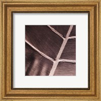 Particular Fine Art Print