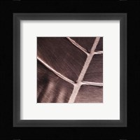 Particular Fine Art Print