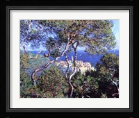 Bordighera, Trees Fine Art Print