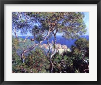 Bordighera, Trees Fine Art Print