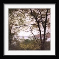 Lakeside Trees I Fine Art Print