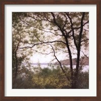 Lakeside Trees I Fine Art Print