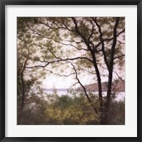 Lakeside Trees I Fine Art Print