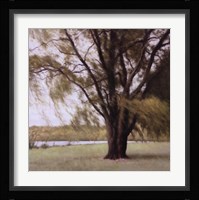 Lakeside Trees II Fine Art Print