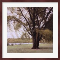 Lakeside Trees II Fine Art Print
