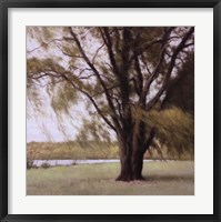 Lakeside Trees II Fine Art Print