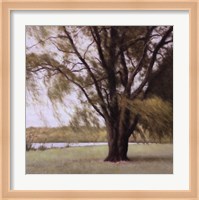 Lakeside Trees II Fine Art Print