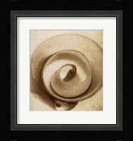 Cutshell Framed Print