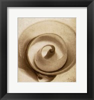 Cutshell Fine Art Print