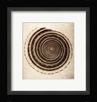 Sundial Shell Framed Print