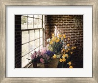 Flower House Morning Fine Art Print