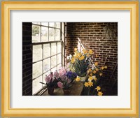 Flower House Morning Fine Art Print