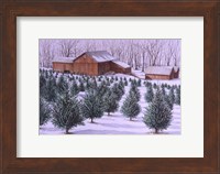 Xmas Tree Farm Fine Art Print