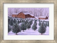 Xmas Tree Farm Fine Art Print