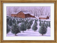 Xmas Tree Farm Fine Art Print