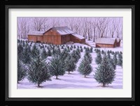 Xmas Tree Farm Fine Art Print