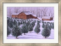 Xmas Tree Farm Fine Art Print