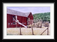 Hay Day Framed Print