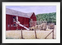 Hay Day Framed Print