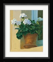 Creancey Geraniums I Fine Art Print