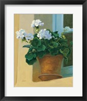 Creancey Geraniums I Fine Art Print
