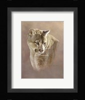 Watchful Eyes Fine Art Print