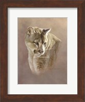 Watchful Eyes Fine Art Print