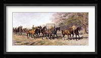 in Training Pm Fine Art Print