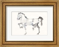 Horse I Fine Art Print