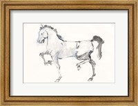 Horse I Fine Art Print