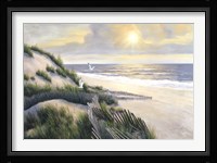 Morning Meditations Fine Art Print