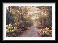 September Song Framed Print