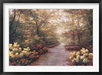 September Song Framed Print