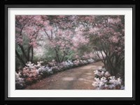 Azalea Walk Fine Art Print