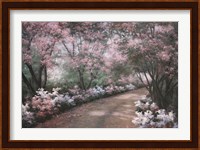 Azalea Walk Fine Art Print