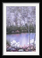 Springtime Melody II Fine Art Print