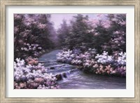 River Cascade Fine Art Print