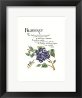 Blueberry Fine Art Print