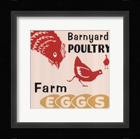 Barnyard Poultry-Farm Eggs Fine Art Print