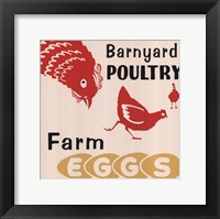 Barnyard Poultry-Farm Eggs Fine Art Print