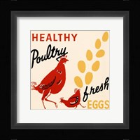 Healthy Poultry-Fresh Eggs Fine Art Print