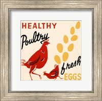 Healthy Poultry-Fresh Eggs Fine Art Print