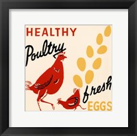 Healthy Poultry-Fresh Eggs Fine Art Print