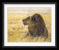 Danger on the Wind Fine Art Print